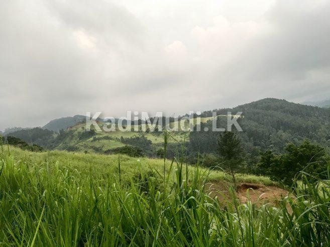 Land in Kandy