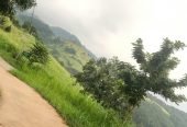 Land in Kandy