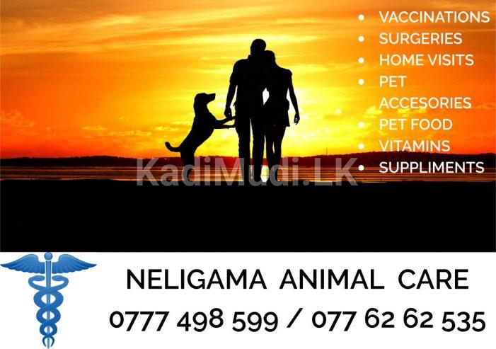 NELIGAMA ANIMAL CARE