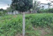 Land for Sale