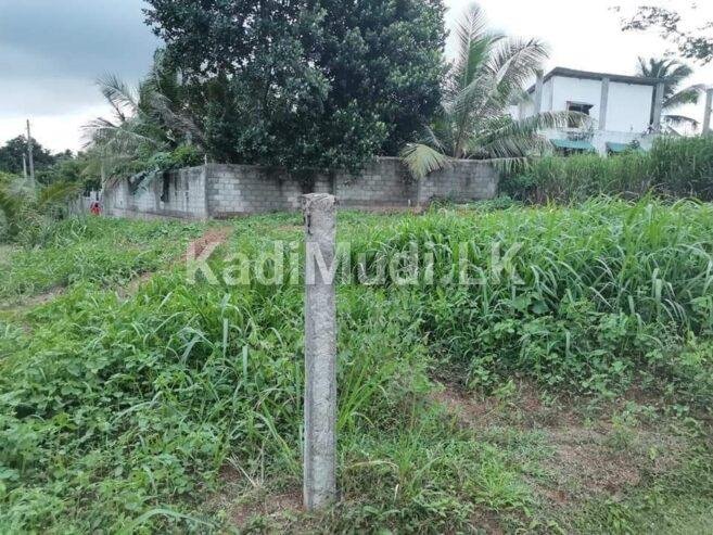 Land for Sale