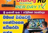 DIALOG TV INSTALLION AND REPAIRING