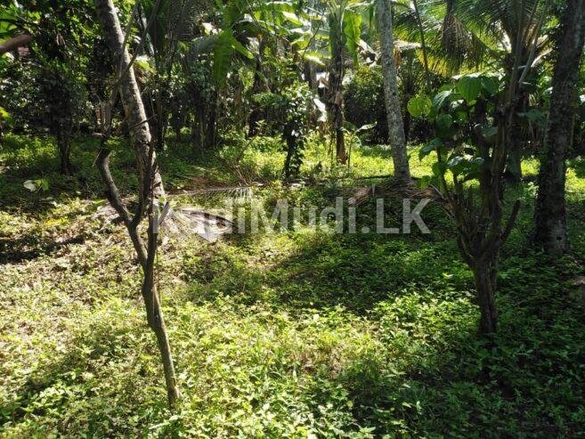 Private Land for Sale