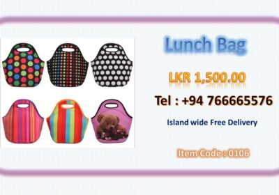 Bags-Lunch