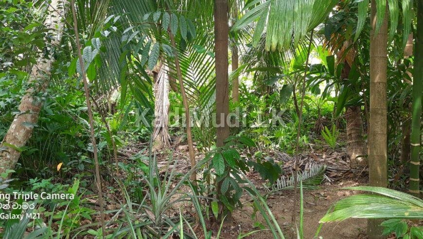 Land for Sale Mathugama