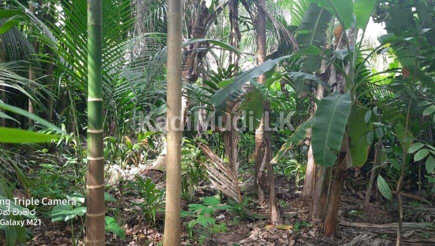 Land for Sale Mathugama