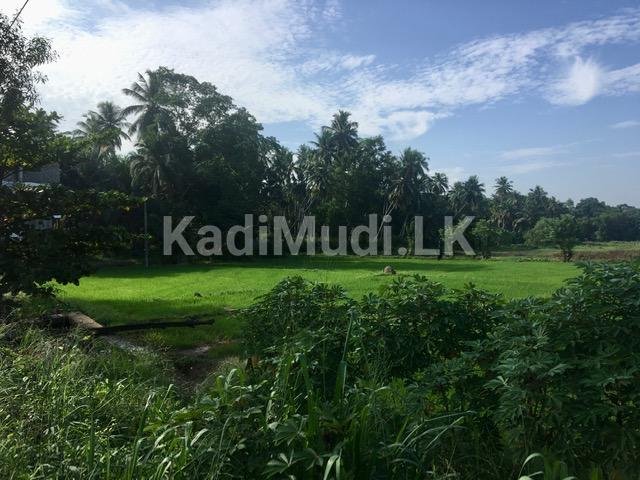 Land for Sale In Minuwangoda