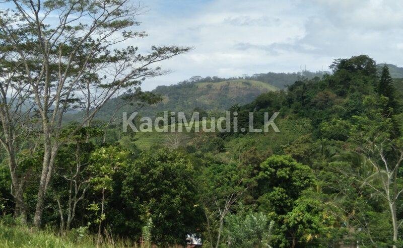 Land for Sale in Balangoda