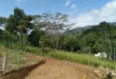 Land for Sale in Balangoda