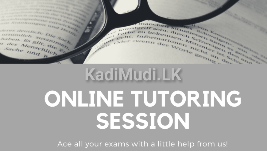 Online Tutoring Session