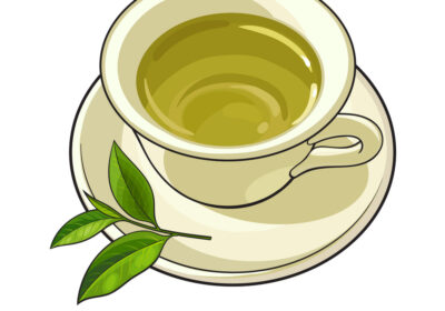 china-porcelain-cup-saucer-fresh-green-tea-leaf-vector-16639482