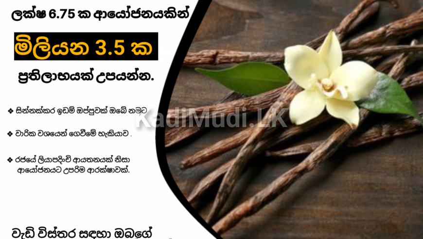 වැනිලා සඳහා ආයෝජනය කර ඉහළ ප්‍රතිලාභ භුක්ති විඳින්න