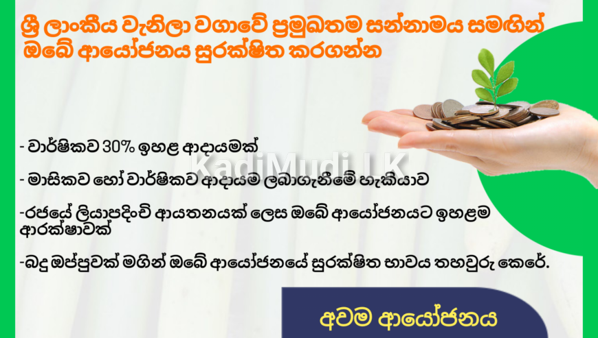 වැනිලා සඳහා ආයෝජනය කර ඉහළ ප්‍රතිලාභ භුක්ති විඳින්න