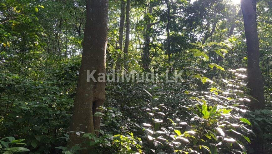 prime Land facing Matale /Dambulla Main road