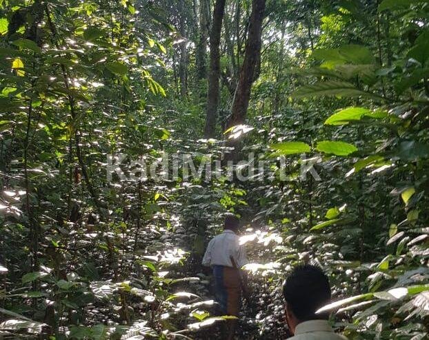 prime Land facing Matale /Dambulla Main road