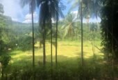 Rubber land for sale in deraniyagala