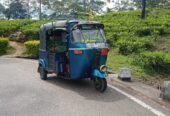 Tuk Tuk Hire Nanuoya