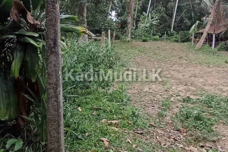 Land for Sale in Homagama. හෝමාගම පර්චස් 10ක අගනා