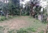 Land for Sale in Homagama. හෝමාගම පර්චස් 10ක අගනා