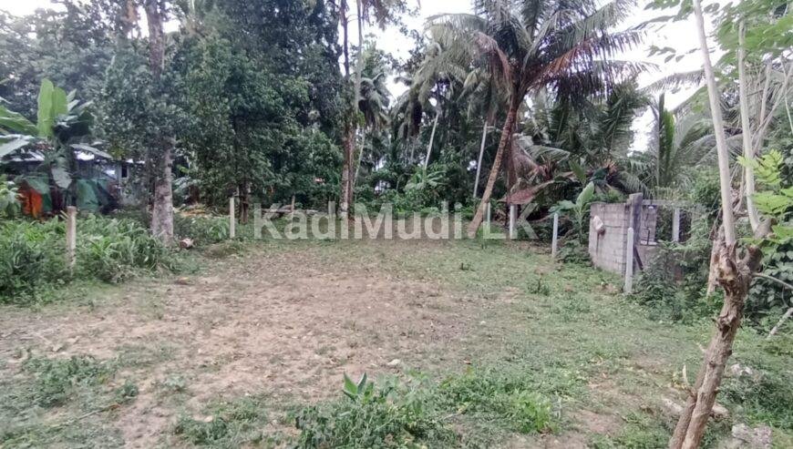 Land for Sale in Homagama. හෝමාගම පර්චස් 10ක අගනා