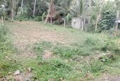 Land for Sale in Homagama. හෝමාගම පර්චස් 10ක අගනා