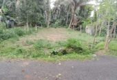 Land for Sale in Homagama. හෝමාගම පර්චස් 10ක අගනා