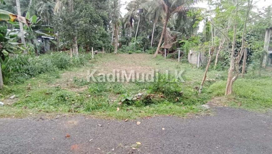 Land for Sale in Homagama. හෝමාගම පර්චස් 10ක අගනා