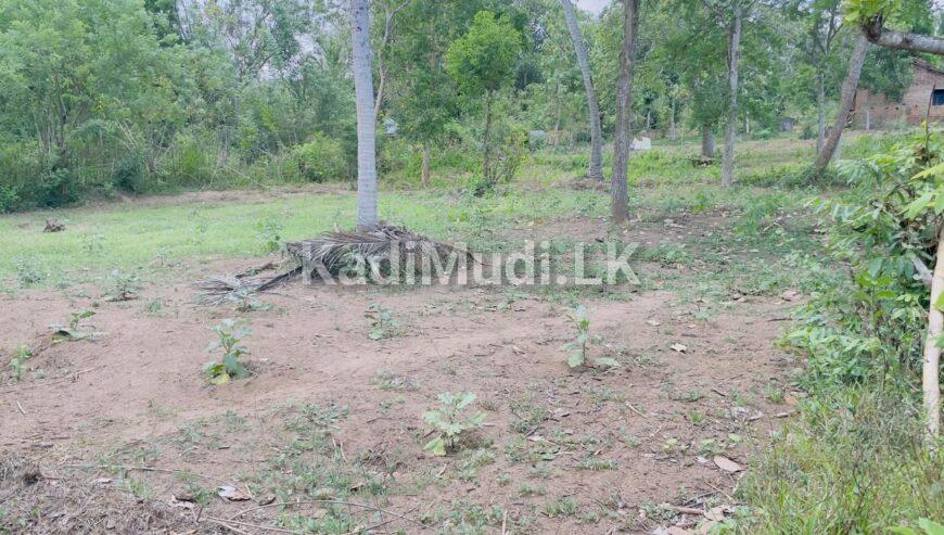 Land sale in Tangalle