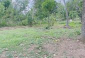 Land sale in Tangalle