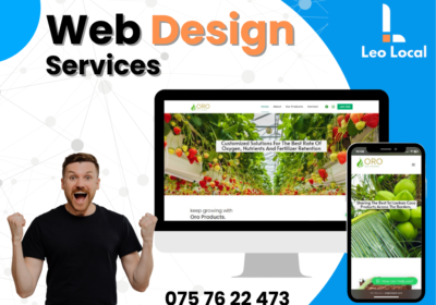 Leo-Local-web-design