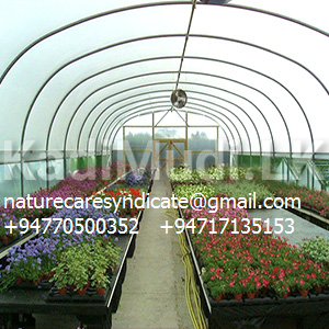 Transparent polycarbonate canopy-0717135153